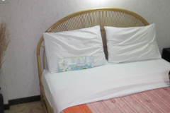 P.U. Guesthouse